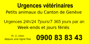 Urgences-vet-0900-500pix.png